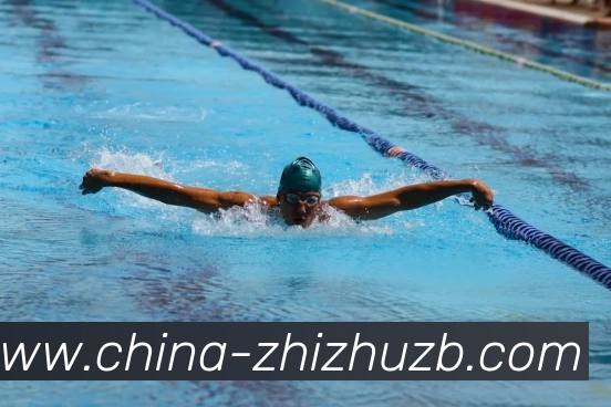 App Interface Preview